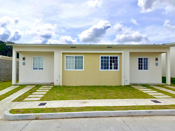 Altos de Azul - Colibrí